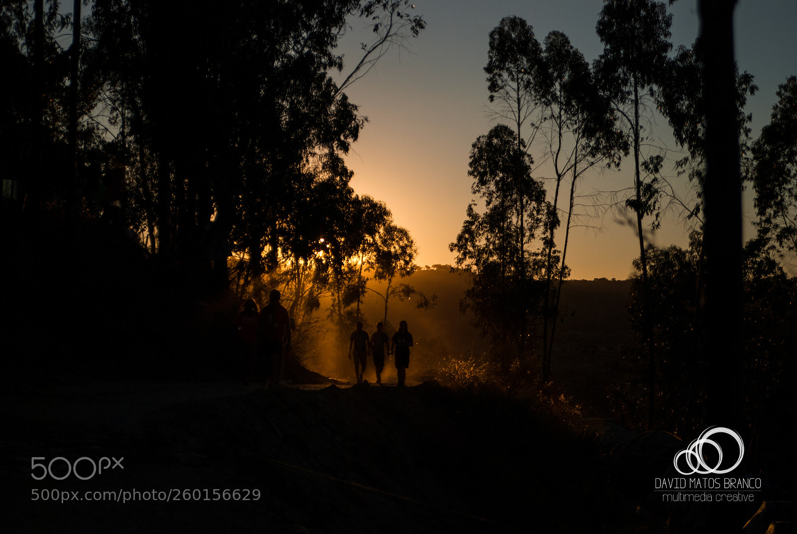 Nikon D80 sample photo. Sunset walk photography
