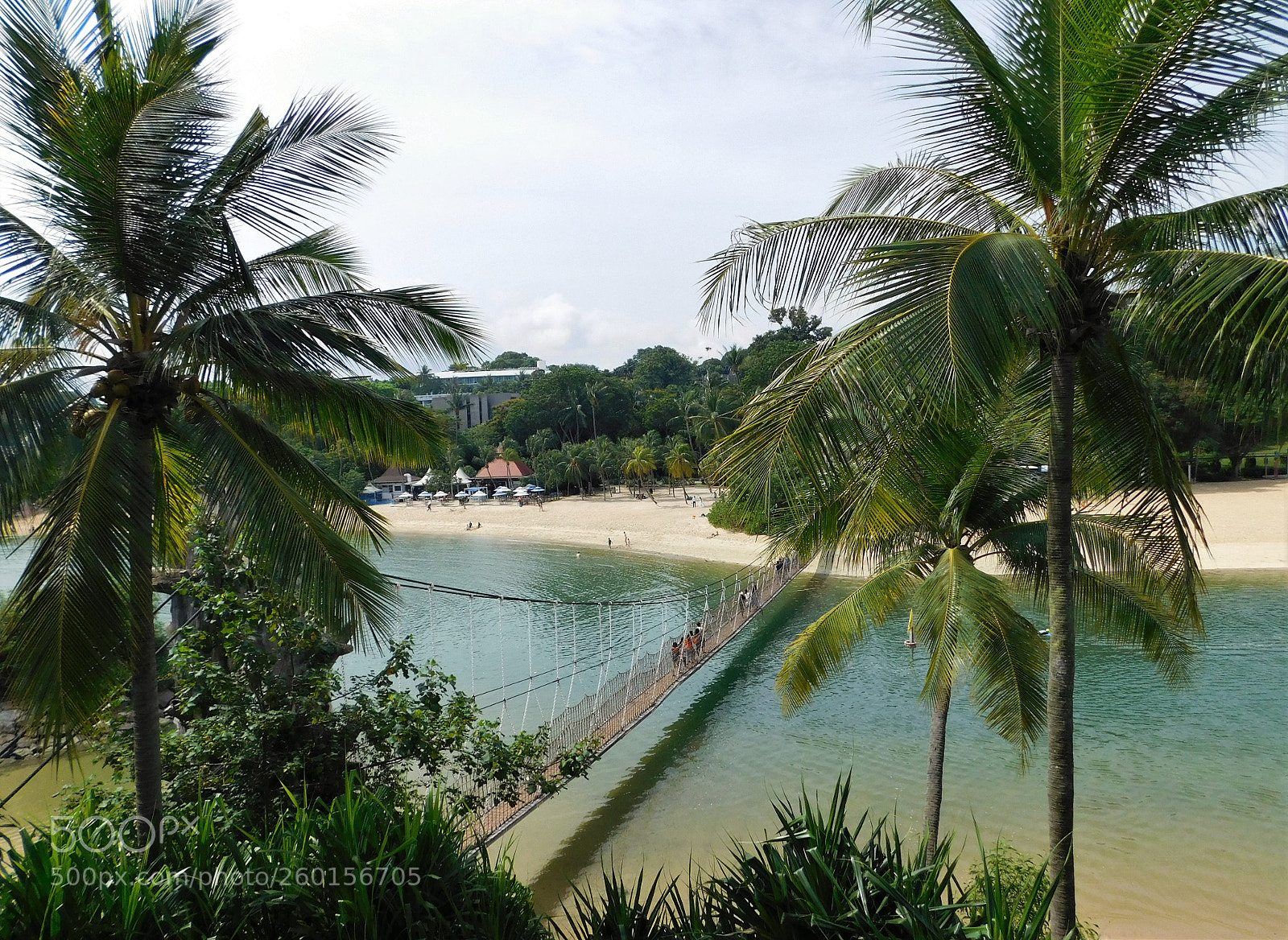 Nikon Coolpix L840 sample photo. Floating bridge at siloso photography