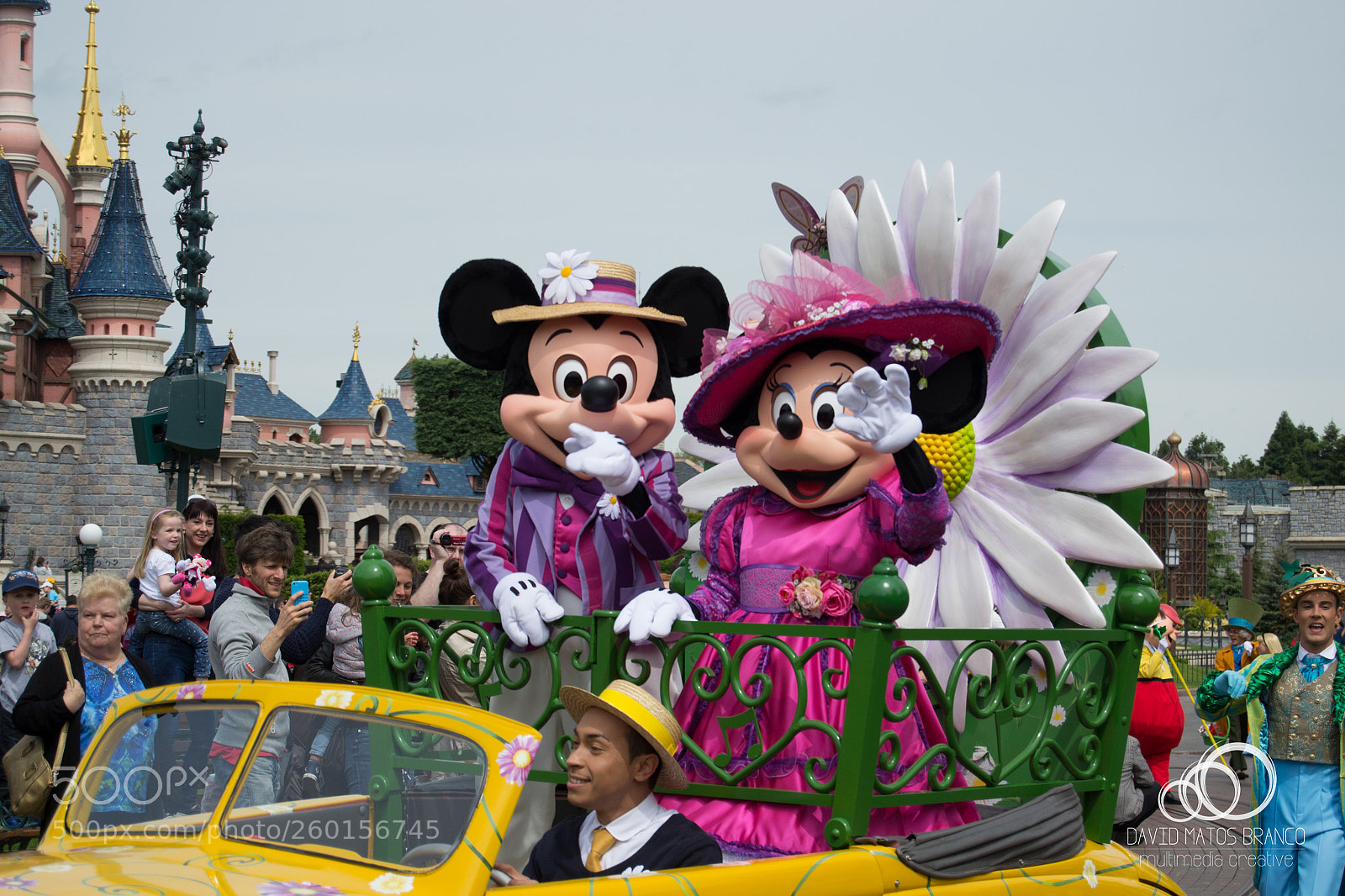 Nikon D3100 sample photo. Mouse couple photography