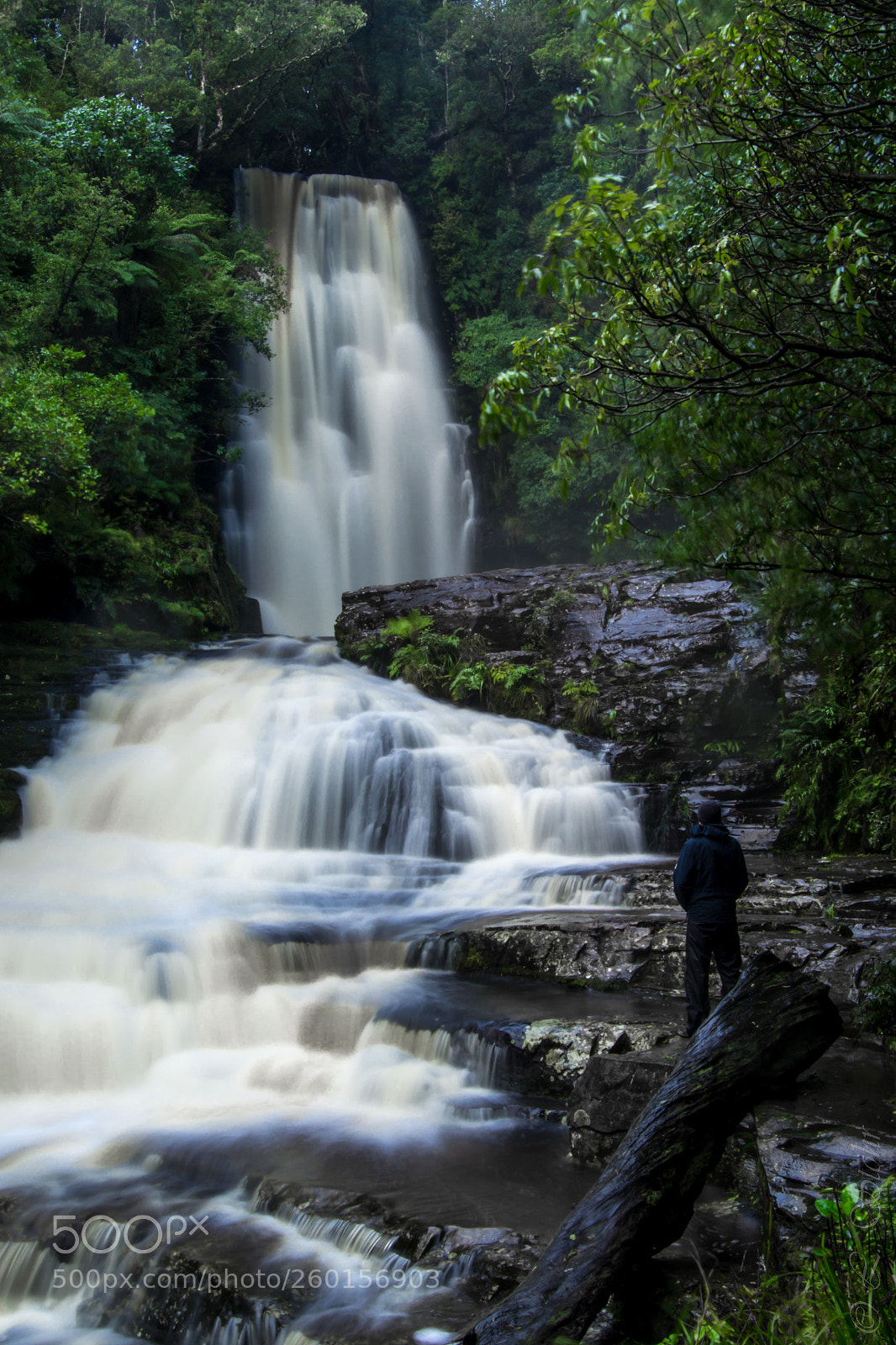 Nikon D3100 sample photo. Mclean falls photography