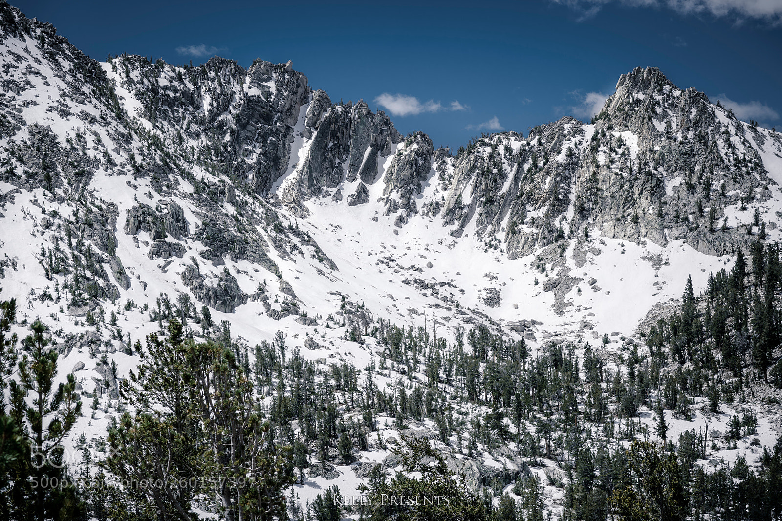 Nikon D850 sample photo. Wild is superior photography