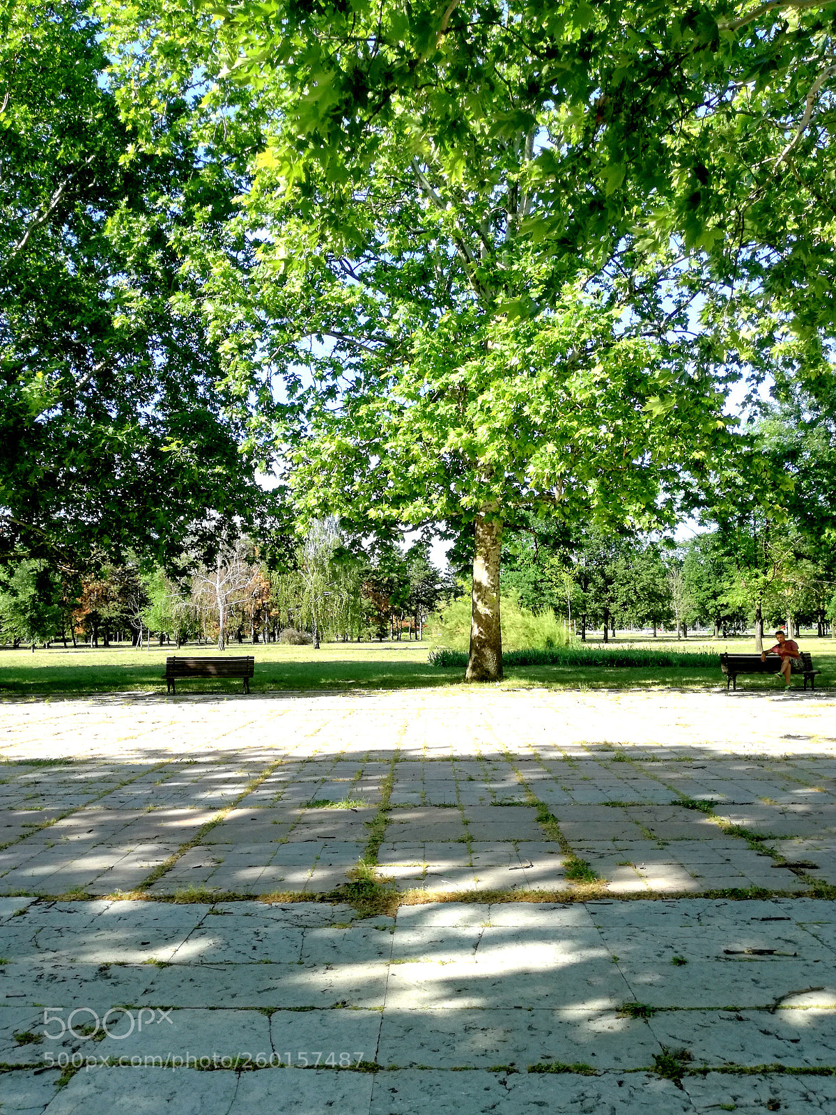 HUAWEI P9 LITE sample photo. Untitled photography
