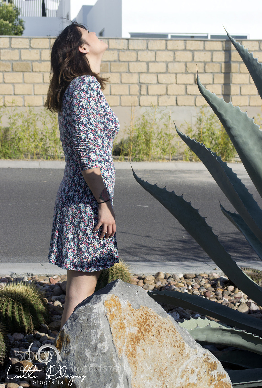 Nikon D3100 sample photo. Untitled photography