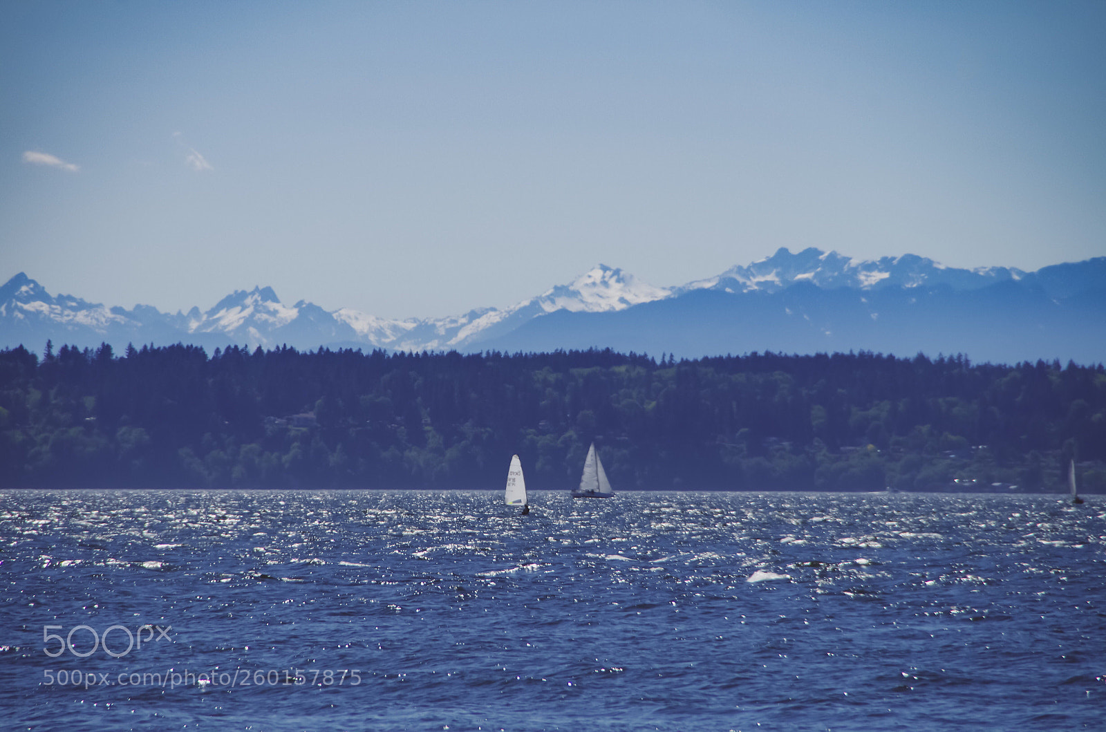 Pentax K-30 sample photo. Untitled photography