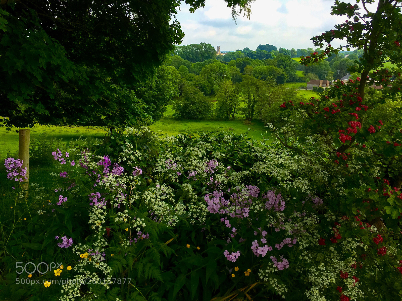 Apple iPhone 6s Plus sample photo. Clogher, county tyrone, northern photography