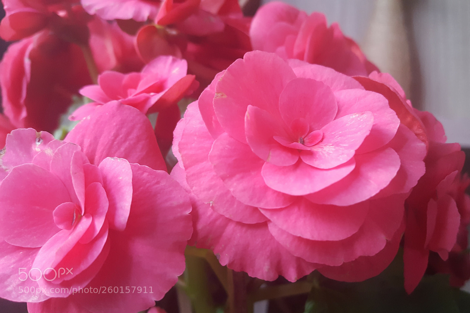 Samsung Galaxy S6 sample photo. 20170528_170406.jpg photography
