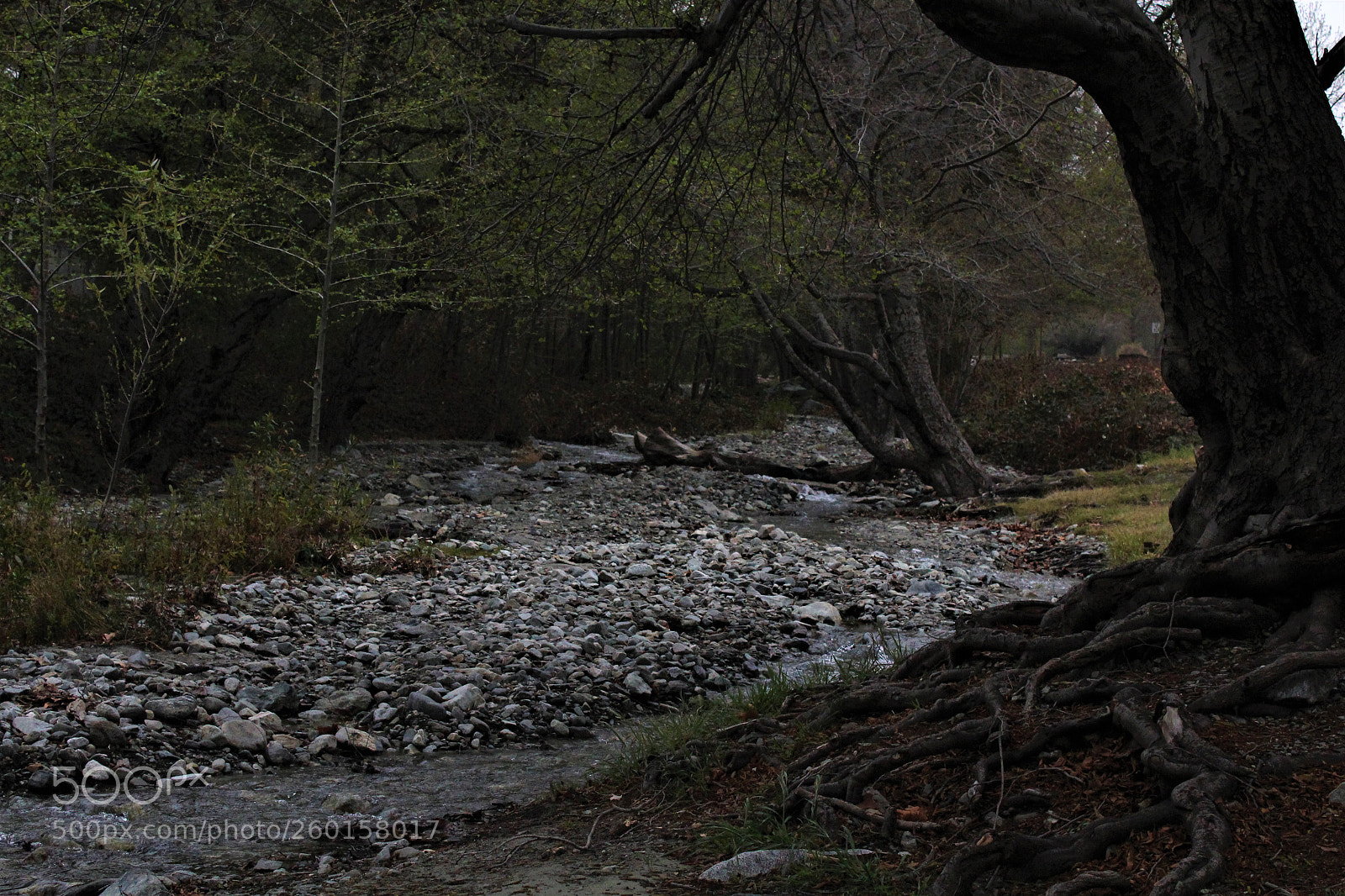 Canon EOS 1200D (EOS Rebel T5 / EOS Kiss X70 / EOS Hi) sample photo. Walking along a creek photography