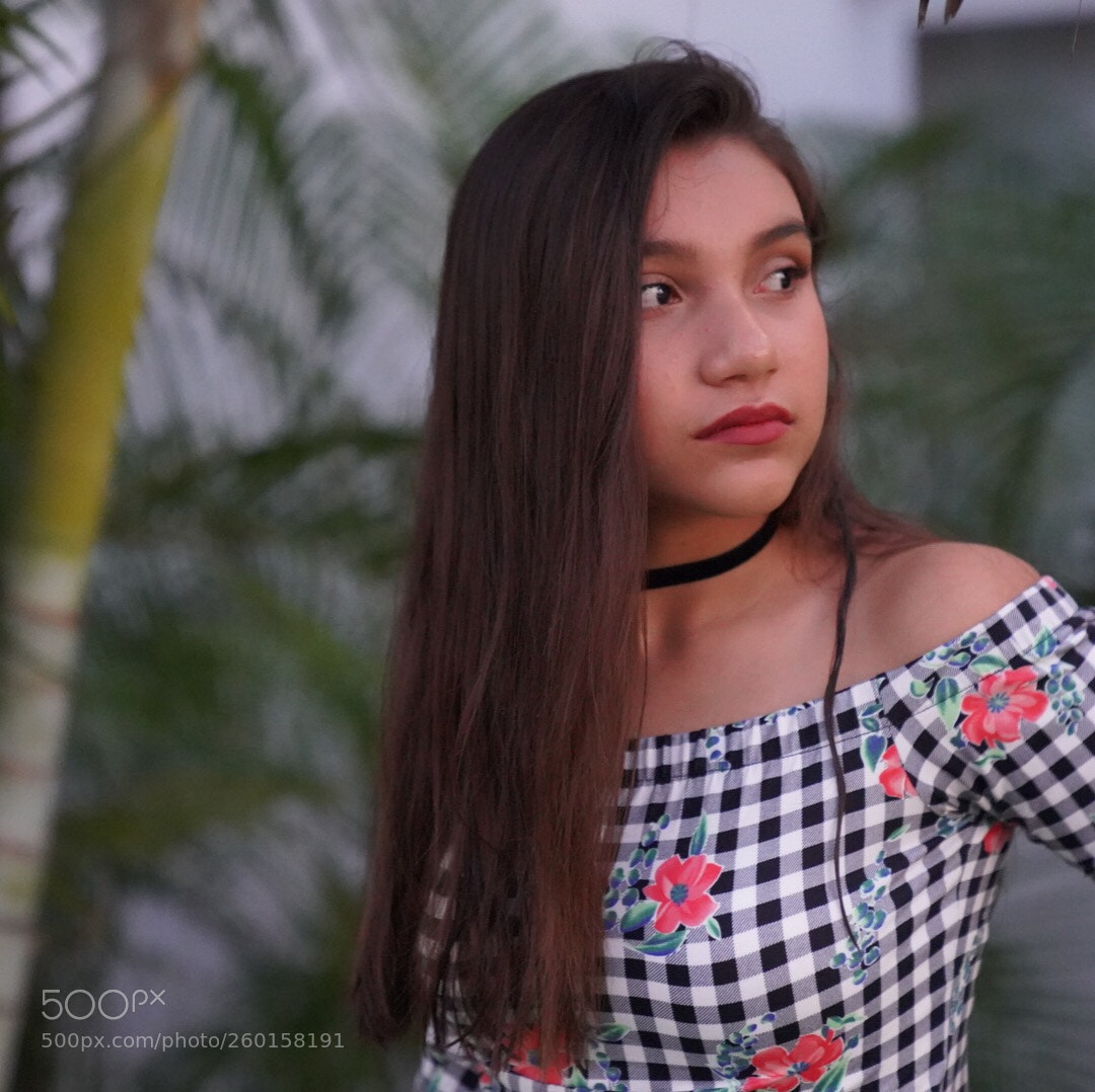 Sony a7 III sample photo. Deseando volar photography
