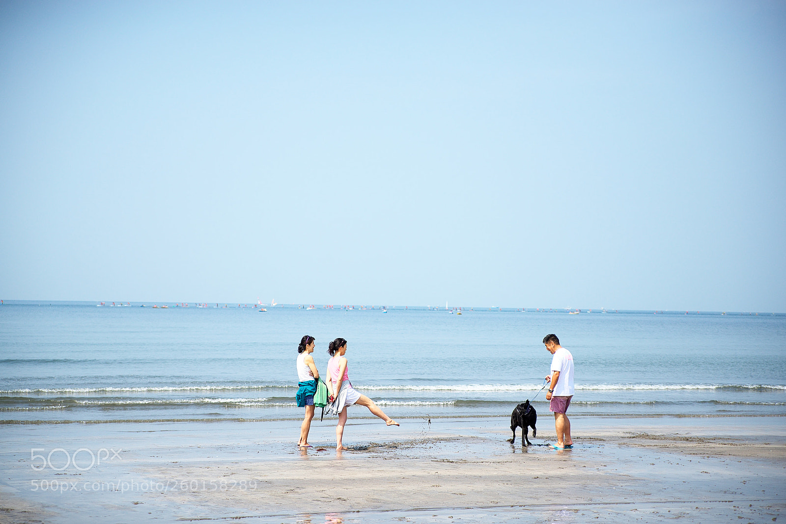 Nikon D610 sample photo. Sea photography