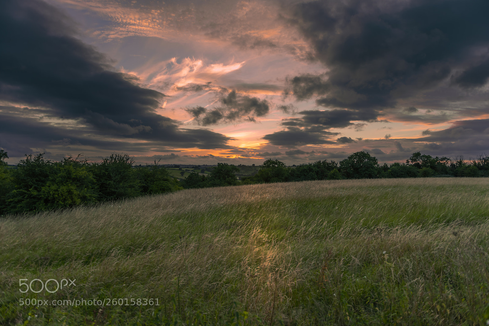 Nikon D810 sample photo. Field at bath photography