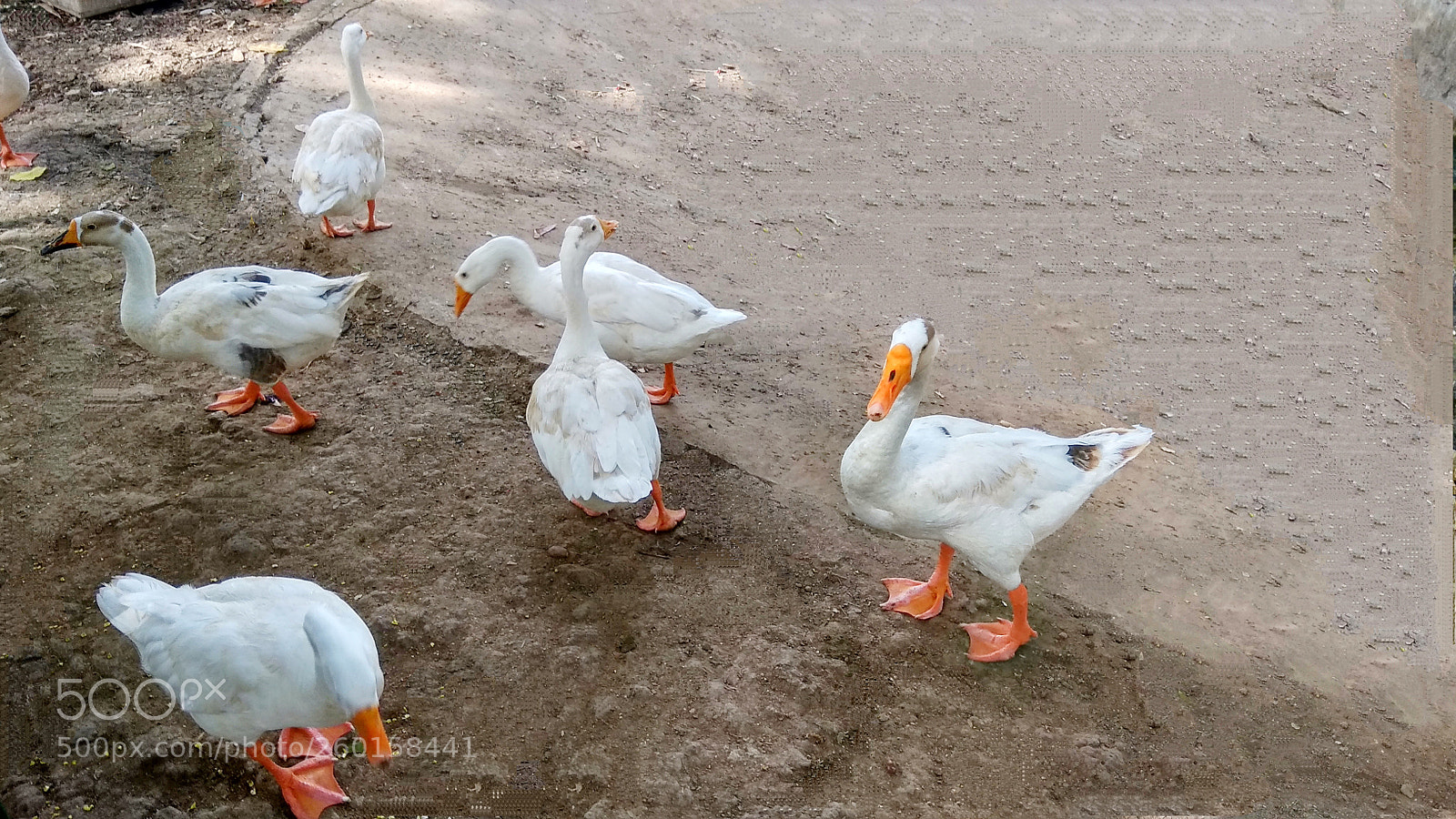 Xiaomi Redmi Note 4 sample photo. Img_20180516_140104.jpg photography
