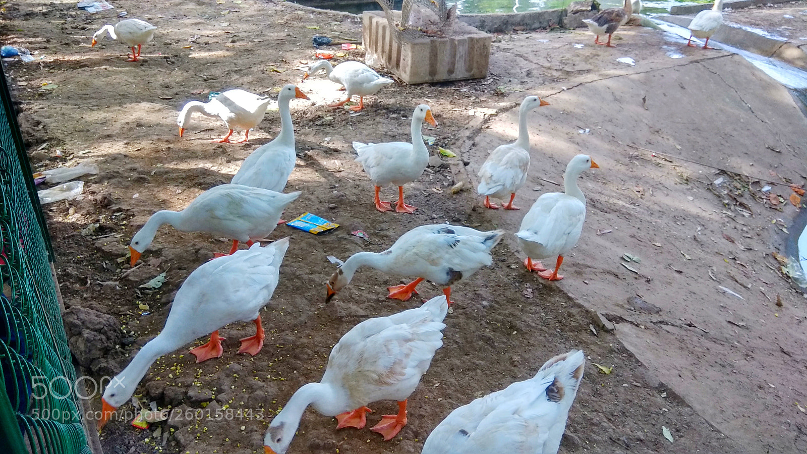 Xiaomi Redmi Note 4 sample photo. Img_20180521_160425.jpg photography