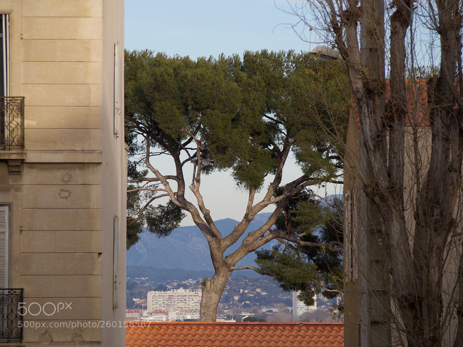 Olympus OM-D E-M10 II sample photo. Marseille photography
