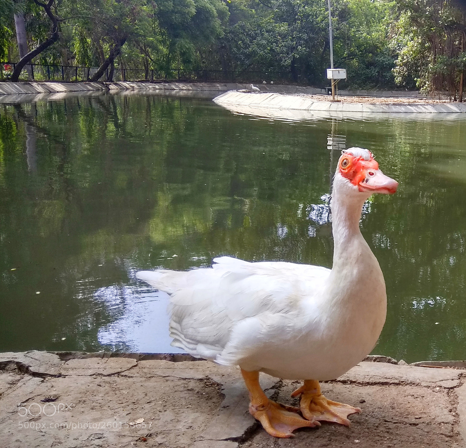Xiaomi Redmi Note 4 sample photo. Img_20180516_120329.jpg photography