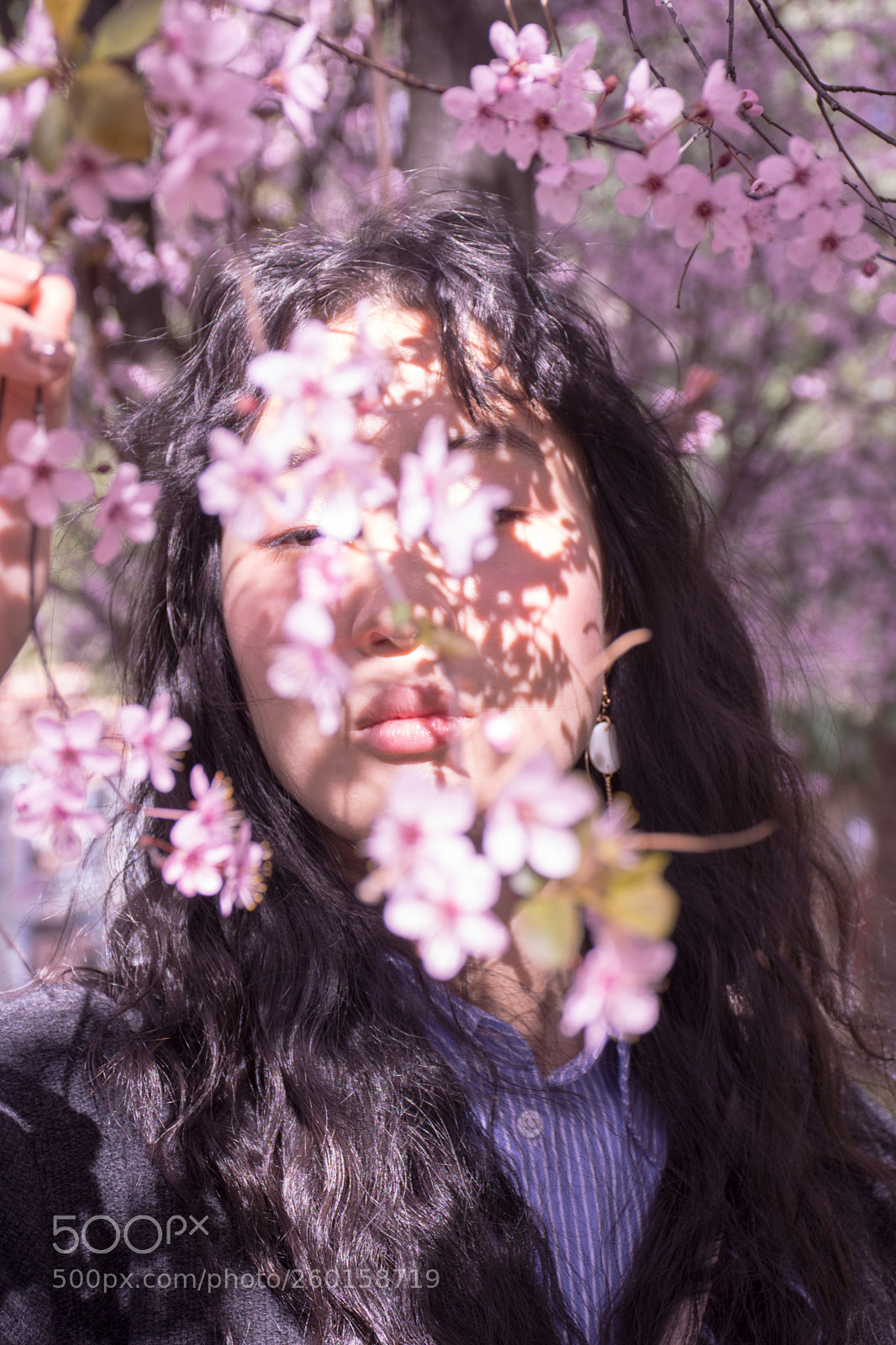 Nikon D7200 sample photo. 櫻の少女 photography
