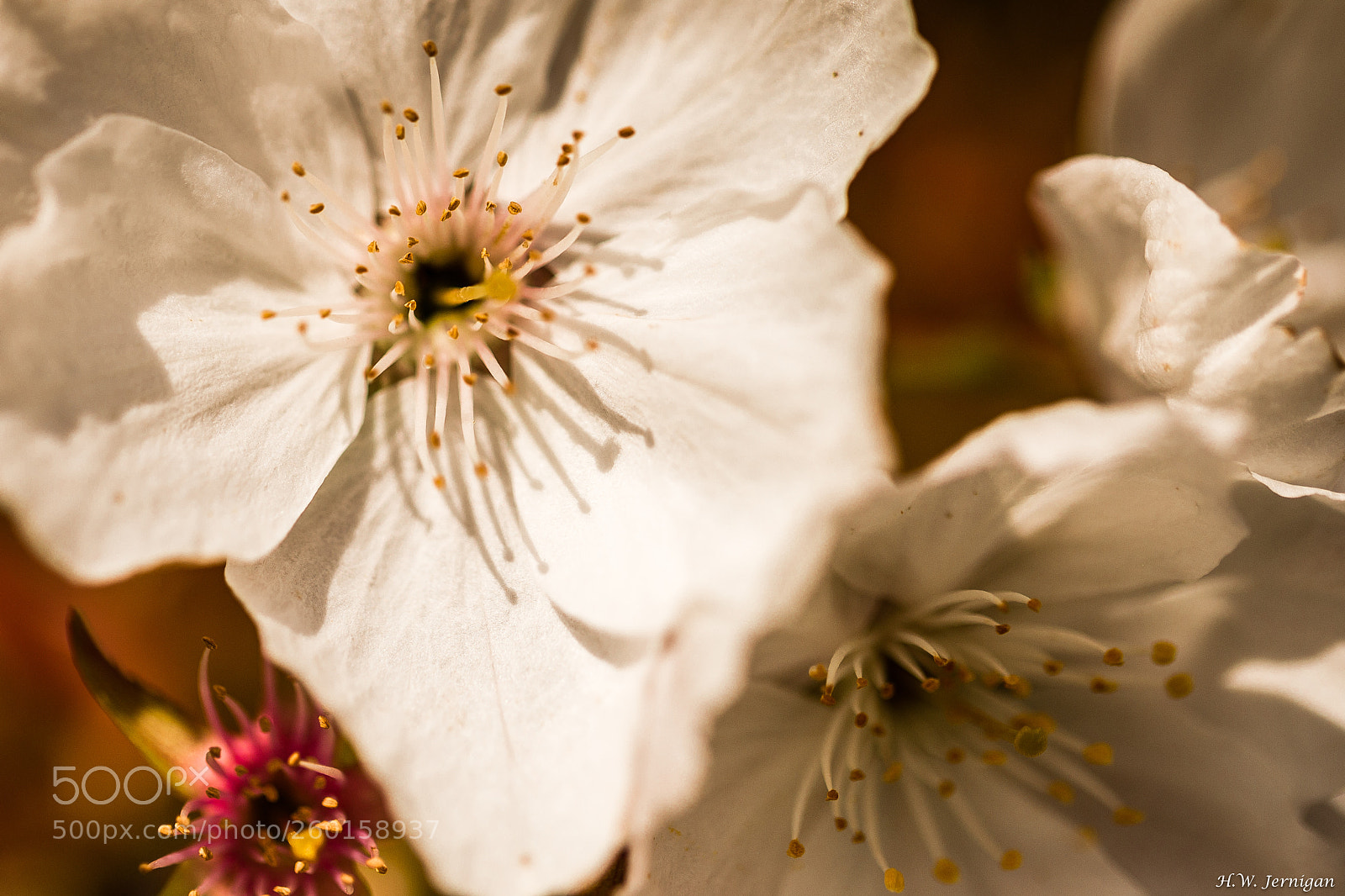 Canon EOS 6D sample photo. Shadows photography
