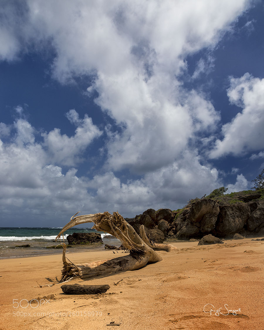 Canon EOS 5D Mark IV sample photo. Sharks cove beach photography