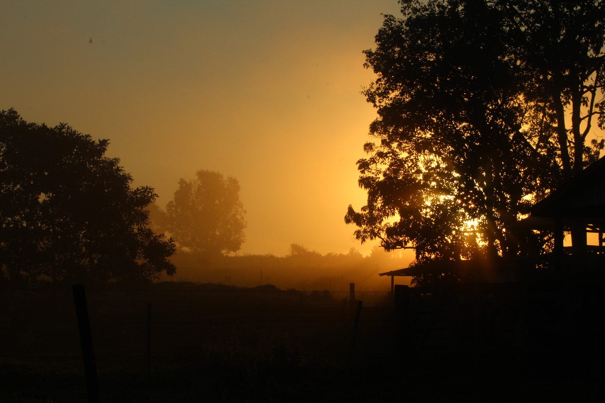 Canon EOS 1300D (EOS Rebel T6 / EOS Kiss X80) sample photo. Sunrise photography