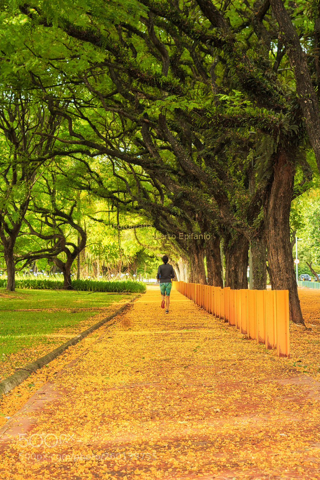 Canon EOS 70D sample photo. Woman running photography
