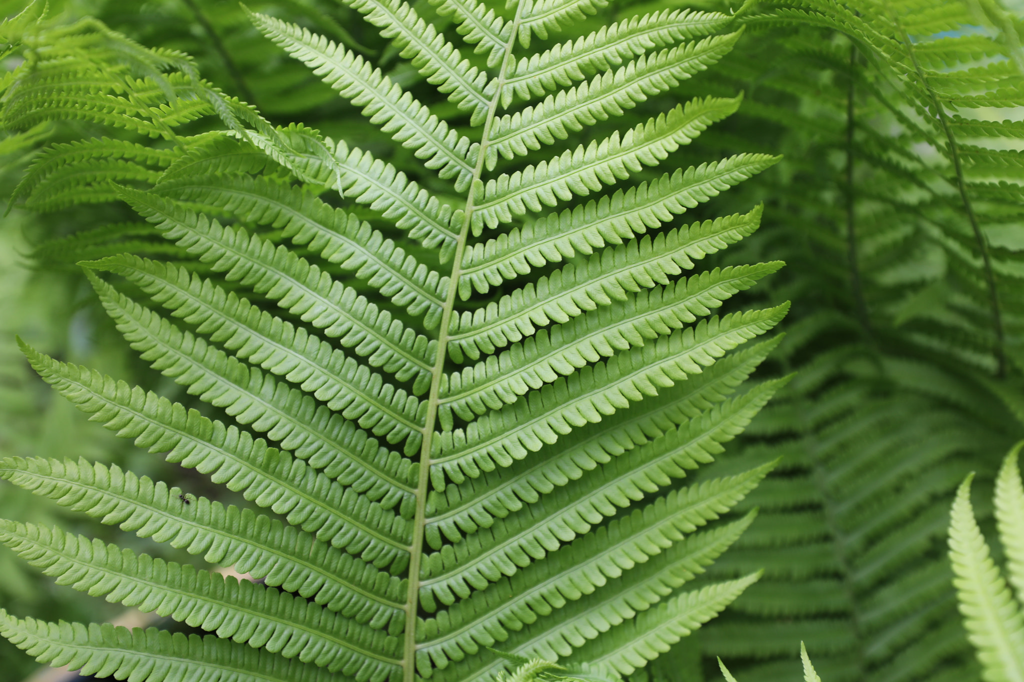 Canon EF 16-35mm F2.8L III USM sample photo. A photography
