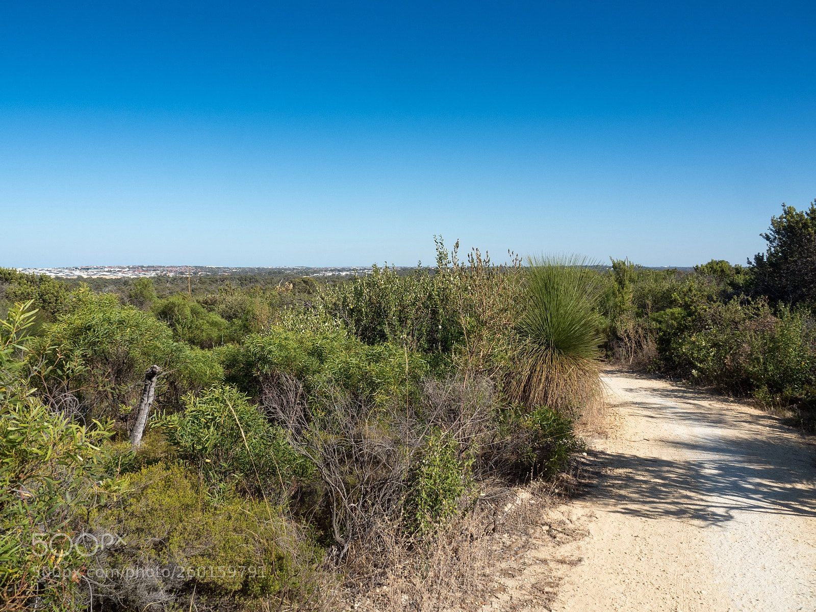 Olympus OM-D E-M5 II sample photo. View from yaberoo budjara photography