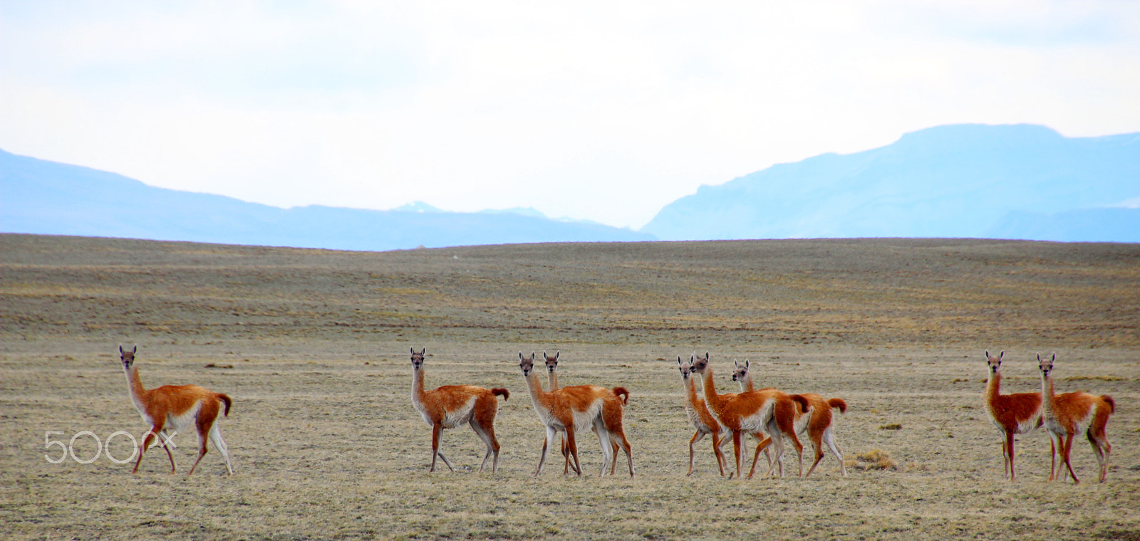Canon EOS 600D (Rebel EOS T3i / EOS Kiss X5) sample photo. Patagonia photography