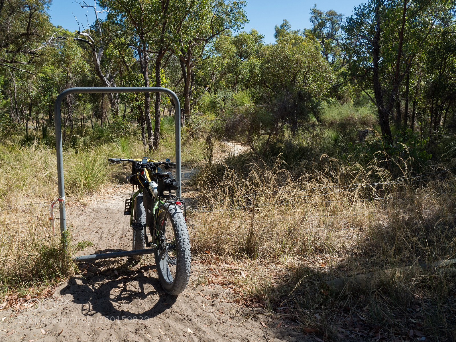 Olympus OM-D E-M5 II sample photo. Leaving the neerabup national photography