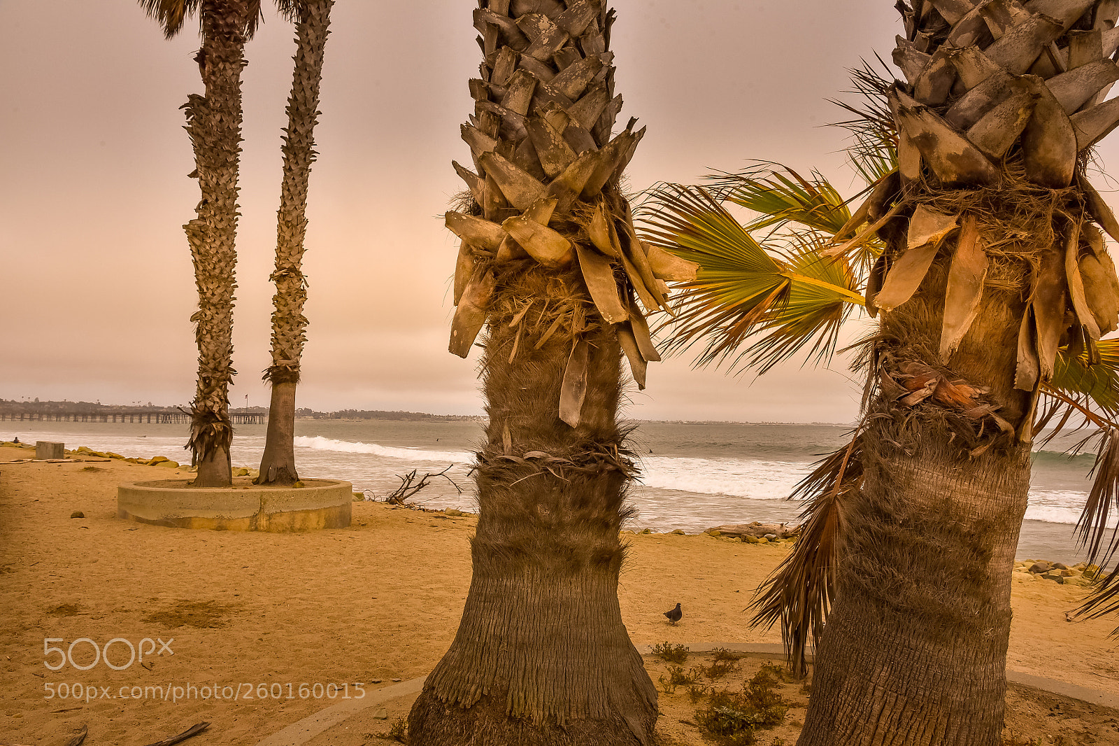 Nikon D750 sample photo. Pacific ocean photography