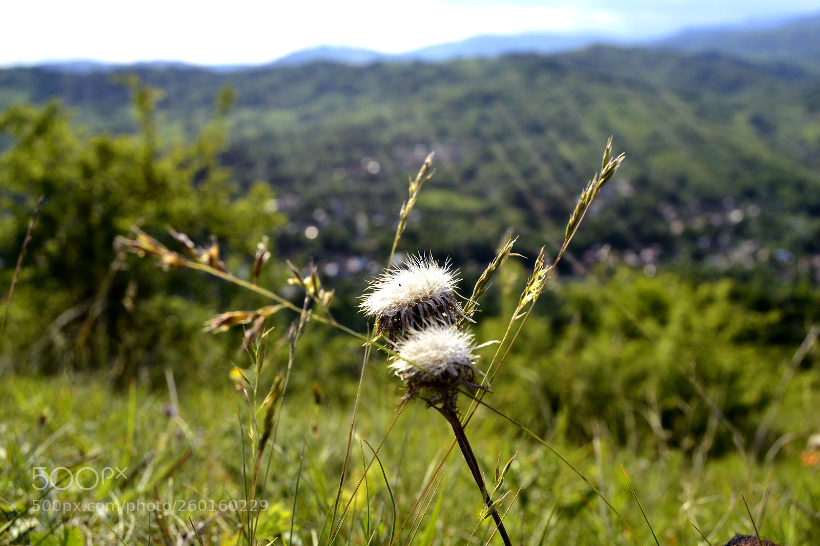 Nikon D3100 sample photo. ^_^ photography