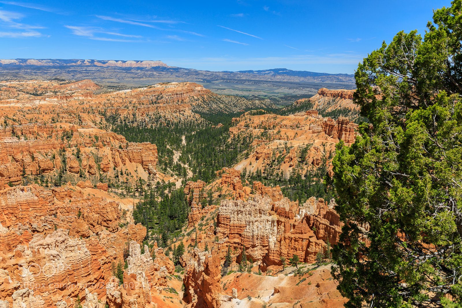 Canon EOS 5D Mark IV sample photo. Bryce canyon 1615 photography
