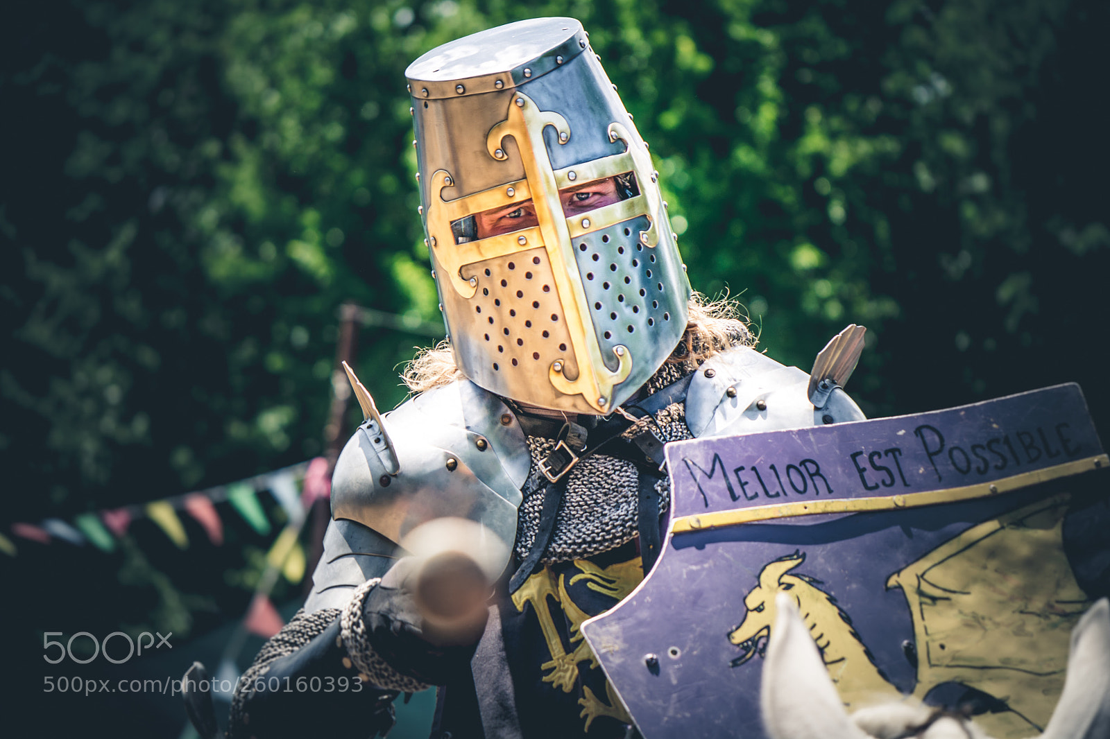 Nikon D7100 sample photo. Joust me, you brigand! photography
