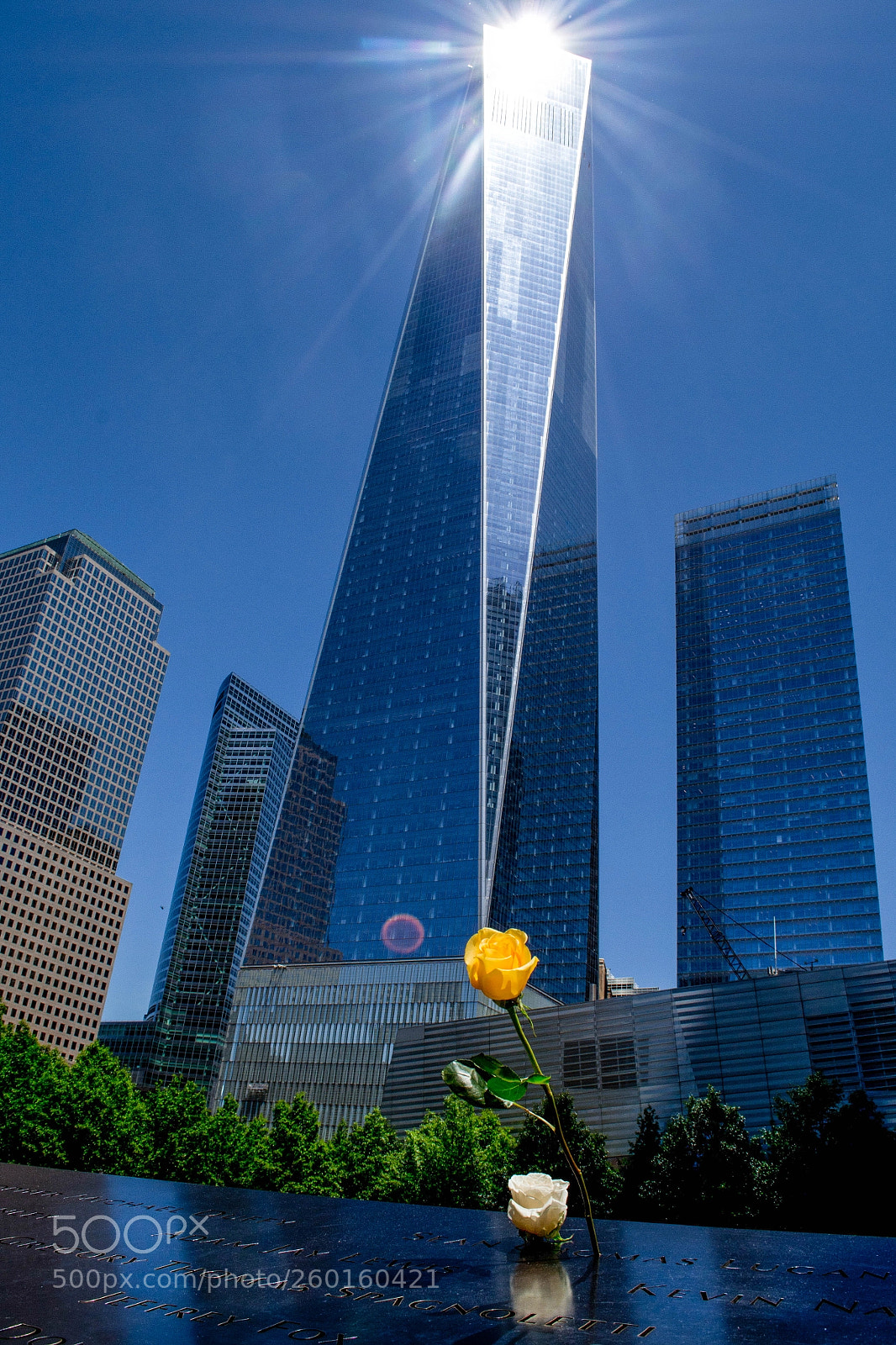 Nikon D3100 sample photo. Freedom tower photography