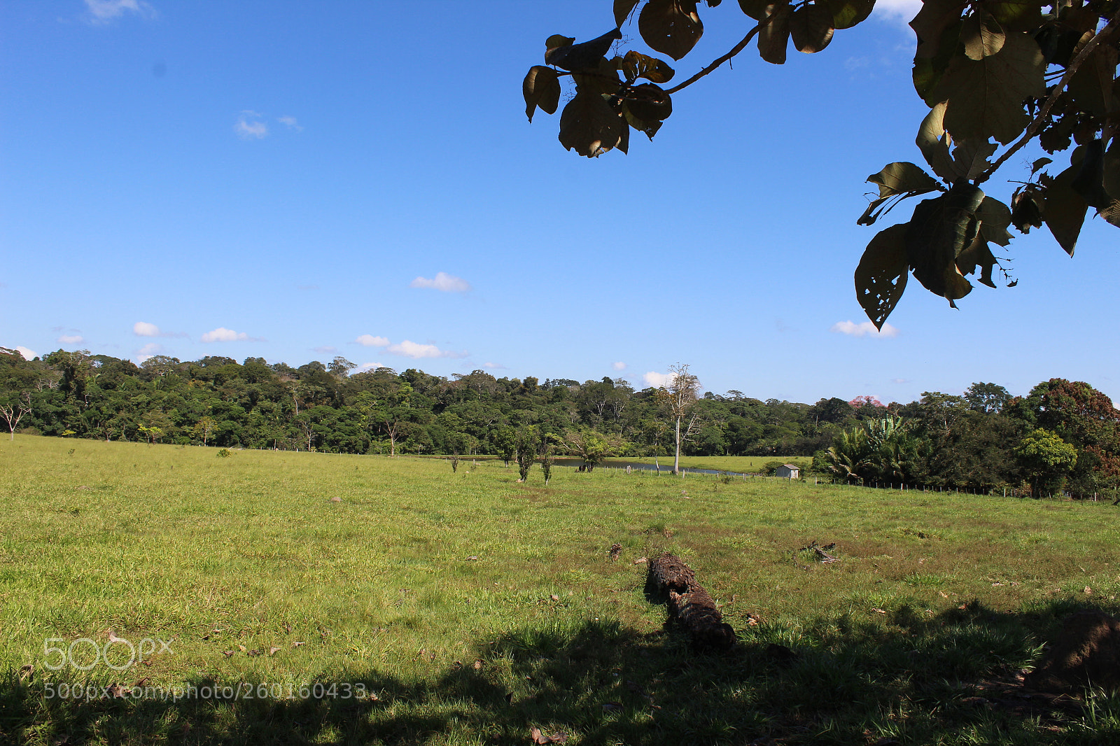 Canon EOS 1300D (EOS Rebel T6 / EOS Kiss X80) sample photo. Pacaas-novos indian reservation photography