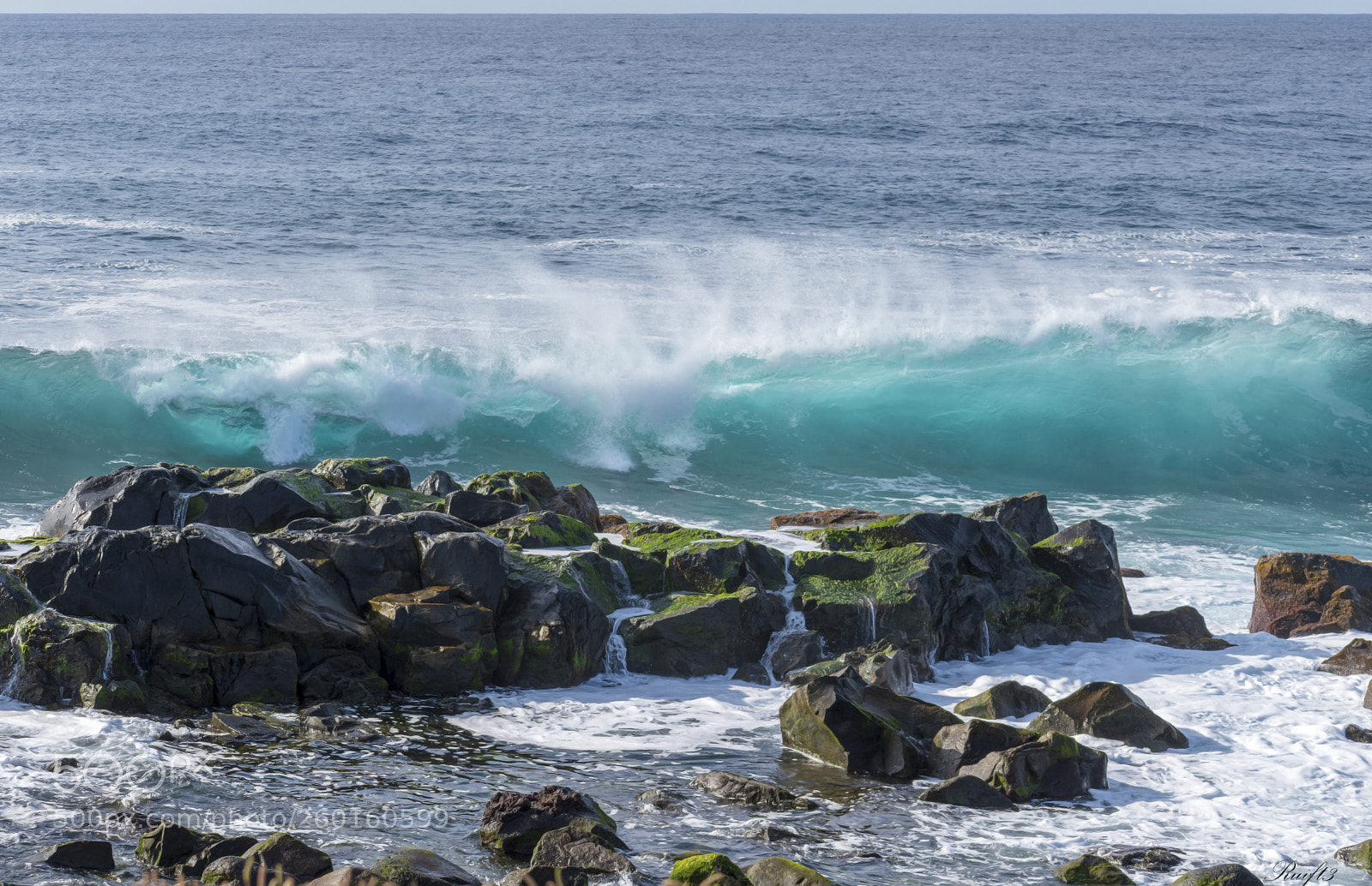 Nikon D5600 sample photo. Turquoise photography
