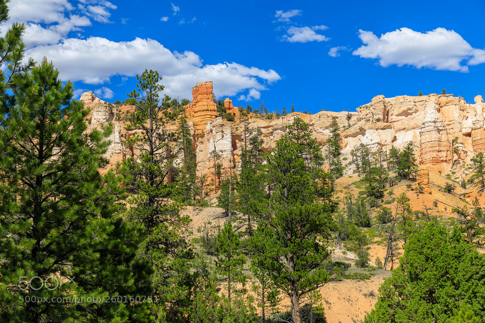 Canon EOS 5D Mark IV sample photo. Bryce canyon 1660 photography