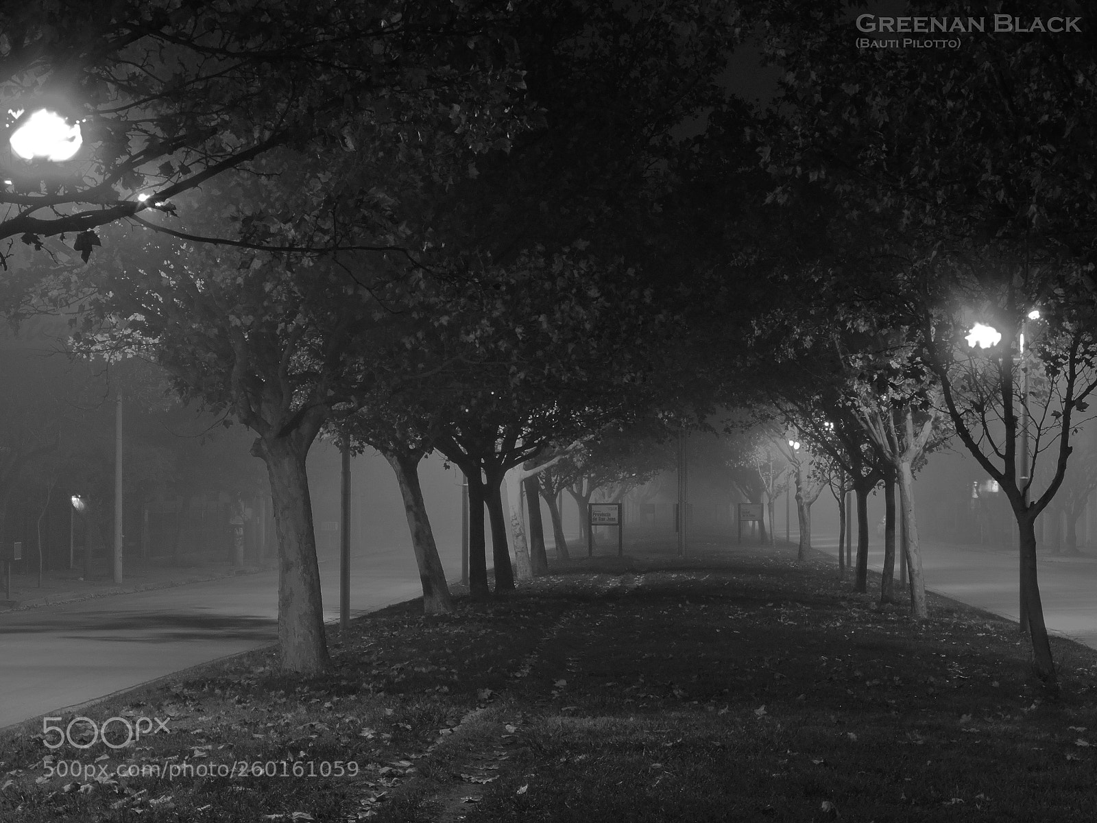 Nikon Coolpix P600 sample photo. Street by the night photography