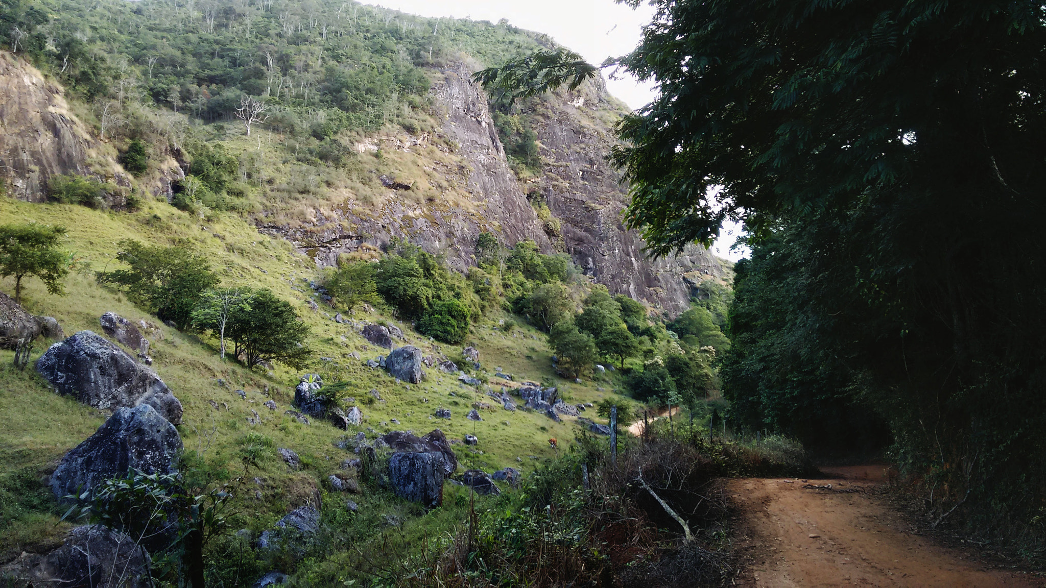 Motorola Moto G (2nd Gen) sample photo. Jardim das pedras selvagens photography
