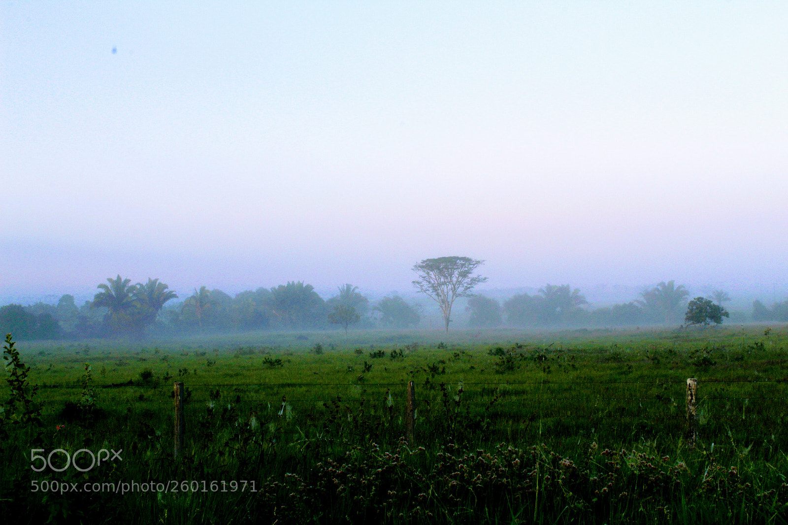 Canon EOS 1300D (EOS Rebel T6 / EOS Kiss X80) sample photo. Sunrise on the farm photography
