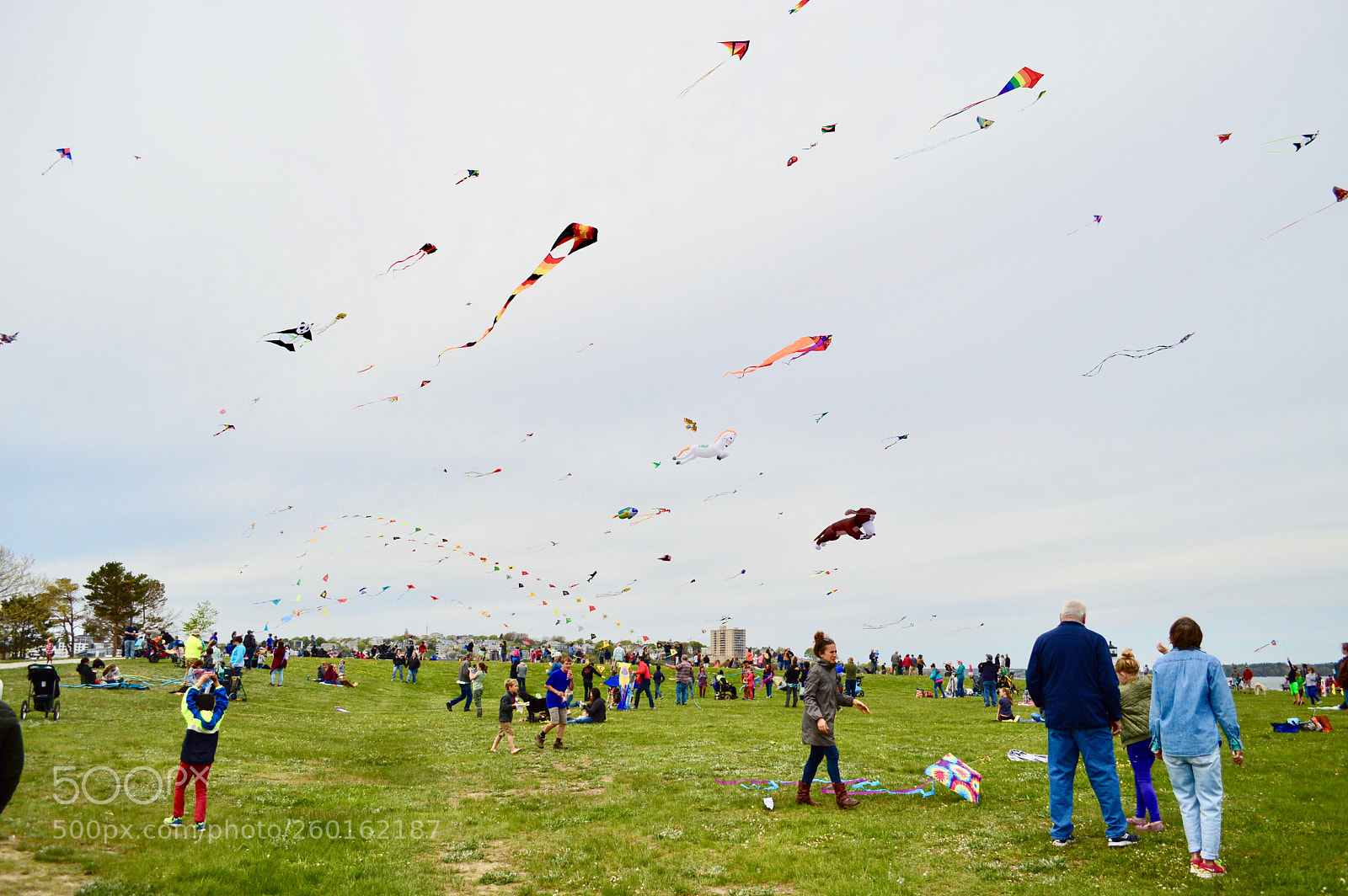 Nikon D3200 sample photo. Kites_instead_of_stars photography
