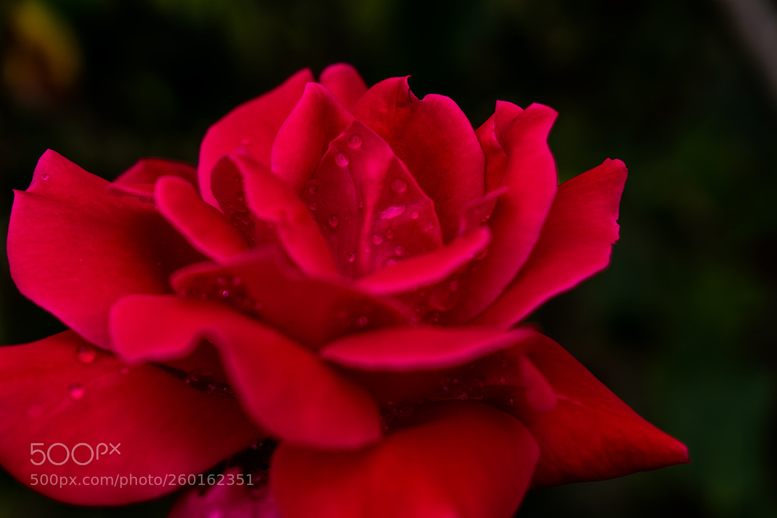 Nikon D3400 sample photo. Rainy day for the photography