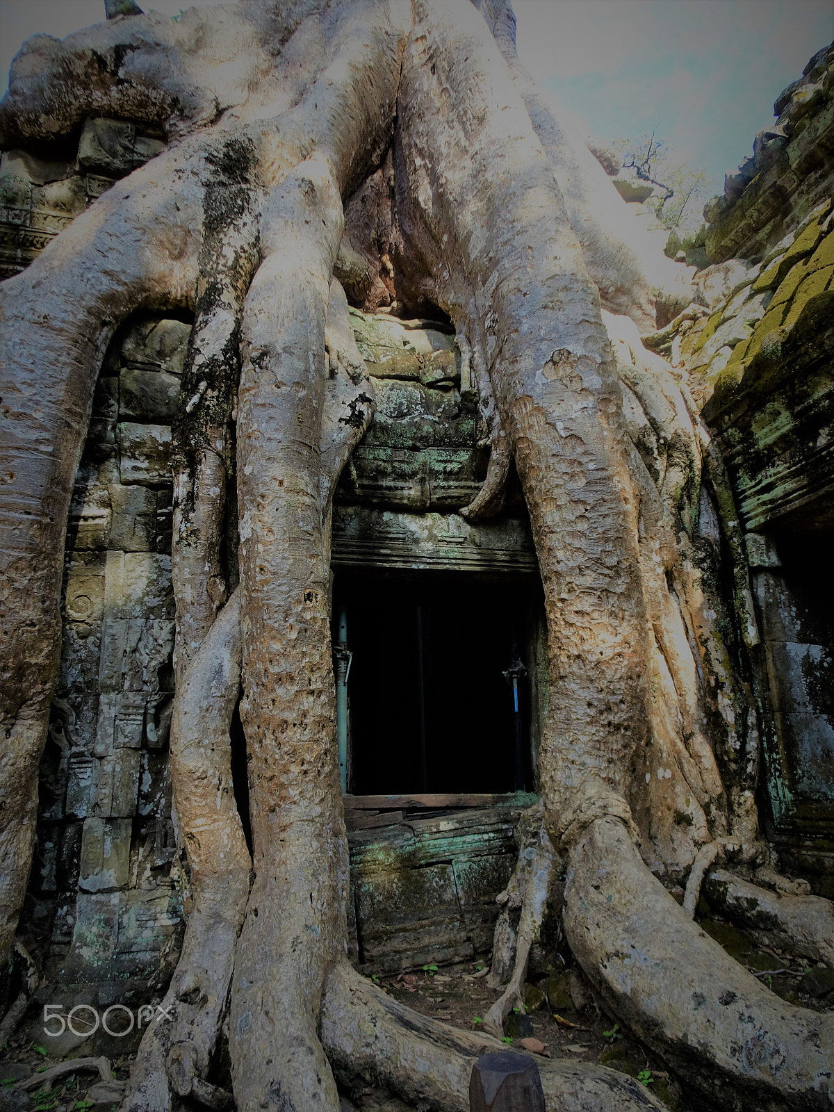 Sony Cyber-shot DSC-HX80 sample photo. Tree roots strangling a temple in ta prohm, angkor photography