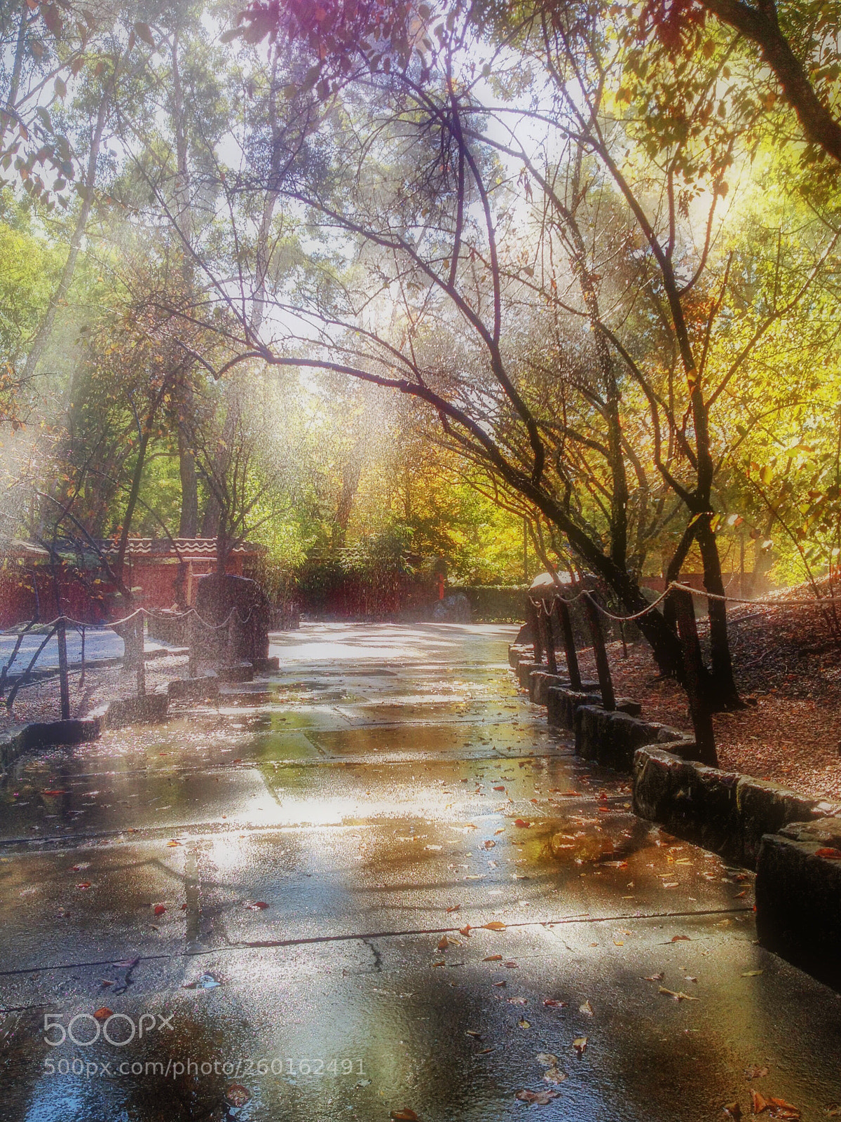 Apple iPhone 4S sample photo. Rain photography