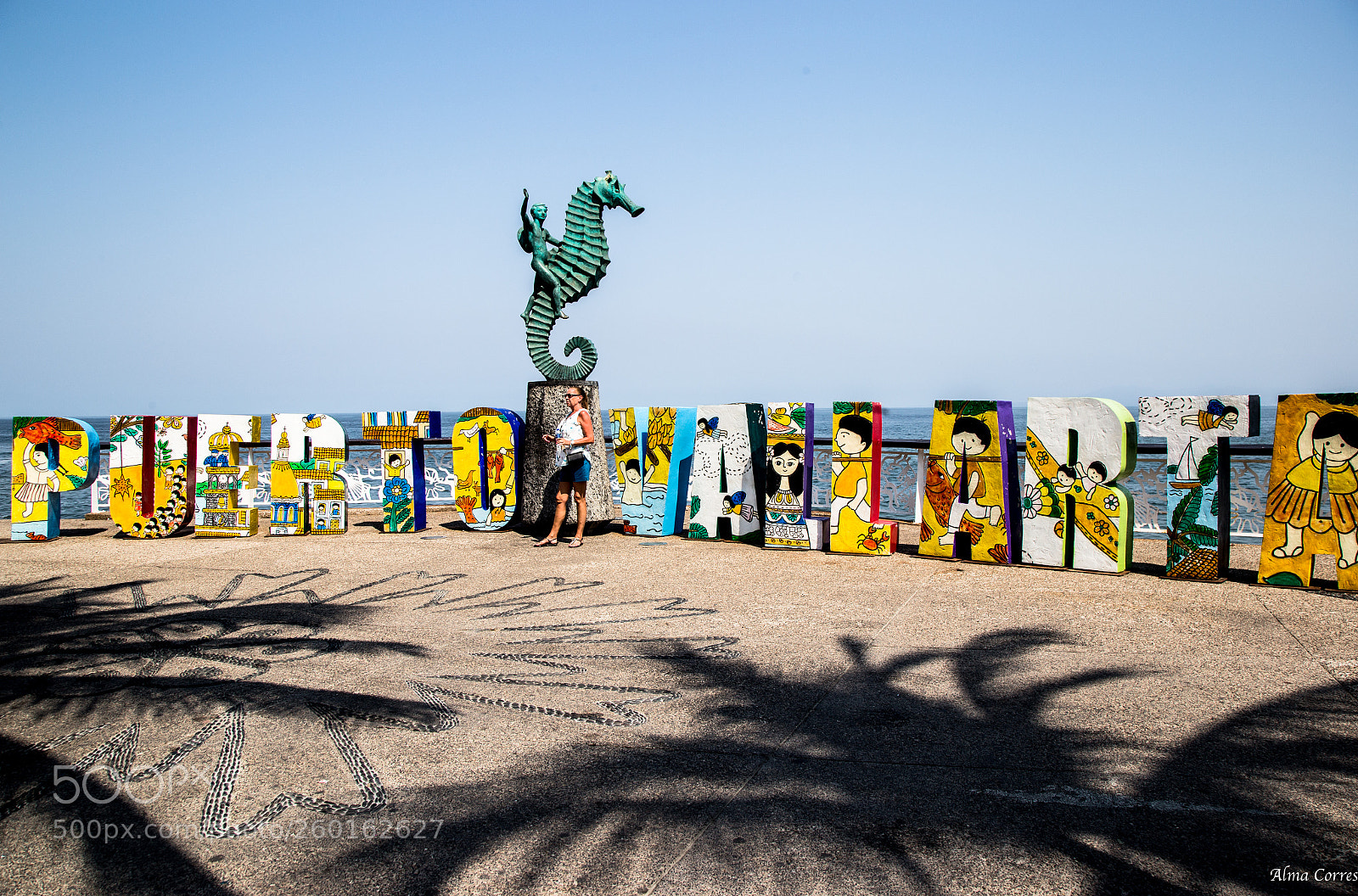 Canon EOS 6D sample photo. Vallarta´s sea horse photography