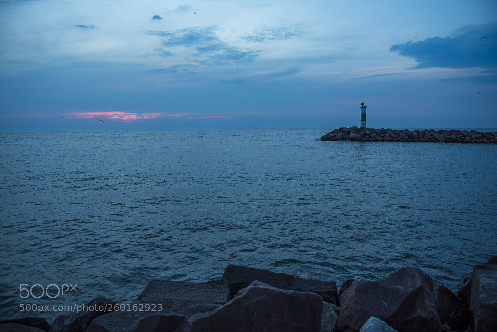 Nikon D810 sample photo. Blue dusk photography