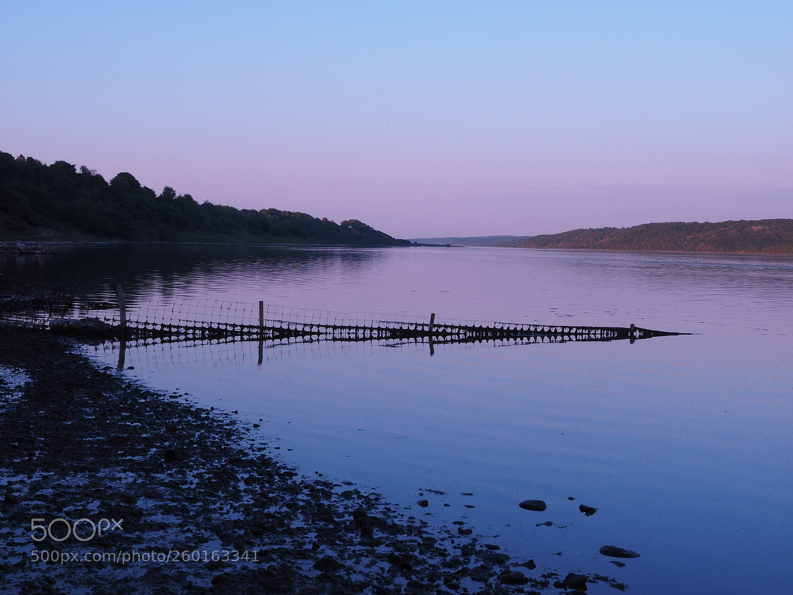 Olympus OM-D E-M1 sample photo. Evening photography