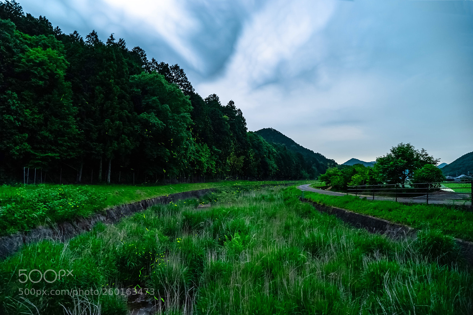 Sony a7 sample photo. Scenery with fireflies photography