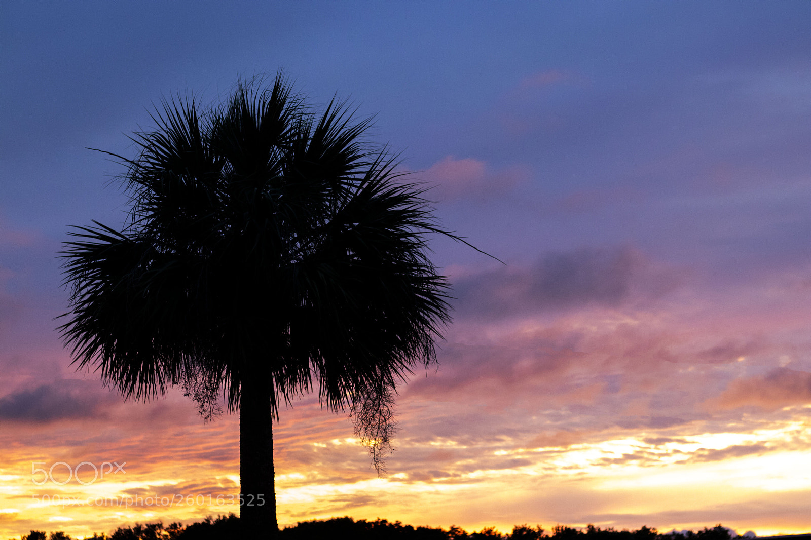 Canon EOS 80D sample photo. Florida sunset photography