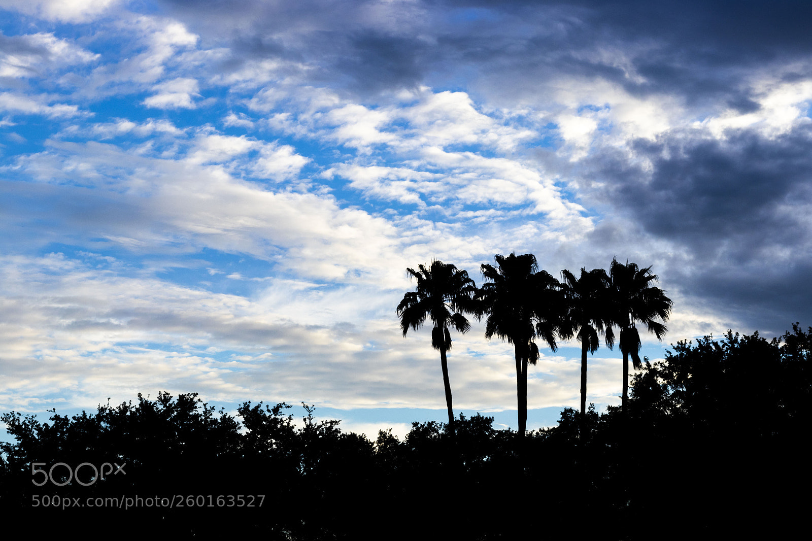 Canon EOS 80D sample photo. Florida weather photography