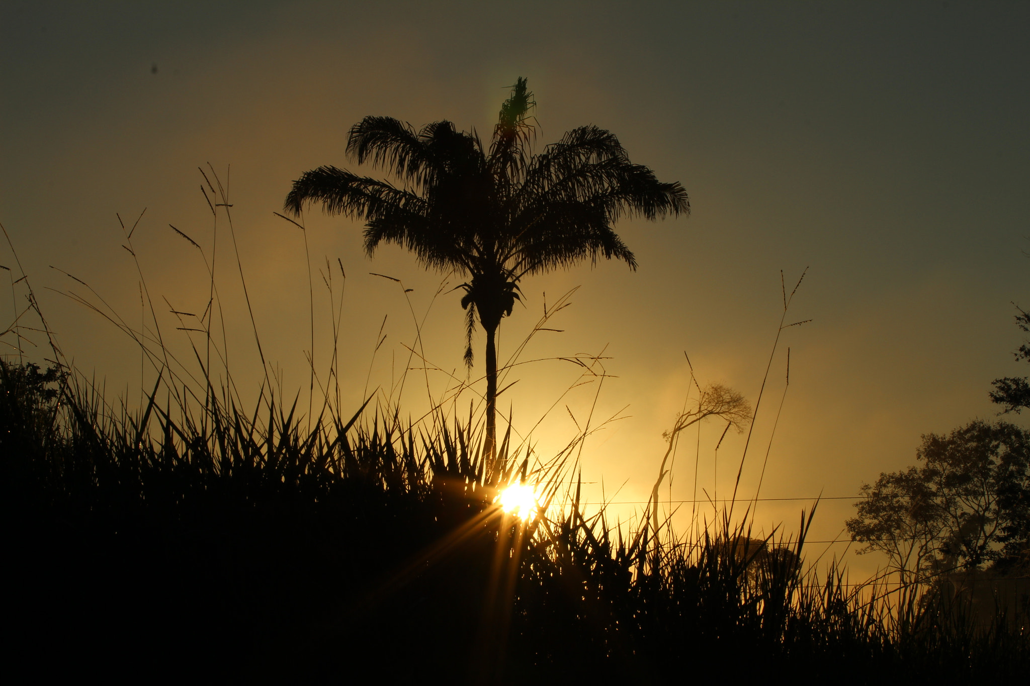 Canon EOS 1300D (EOS Rebel T6 / EOS Kiss X80) sample photo. Sunrise photography