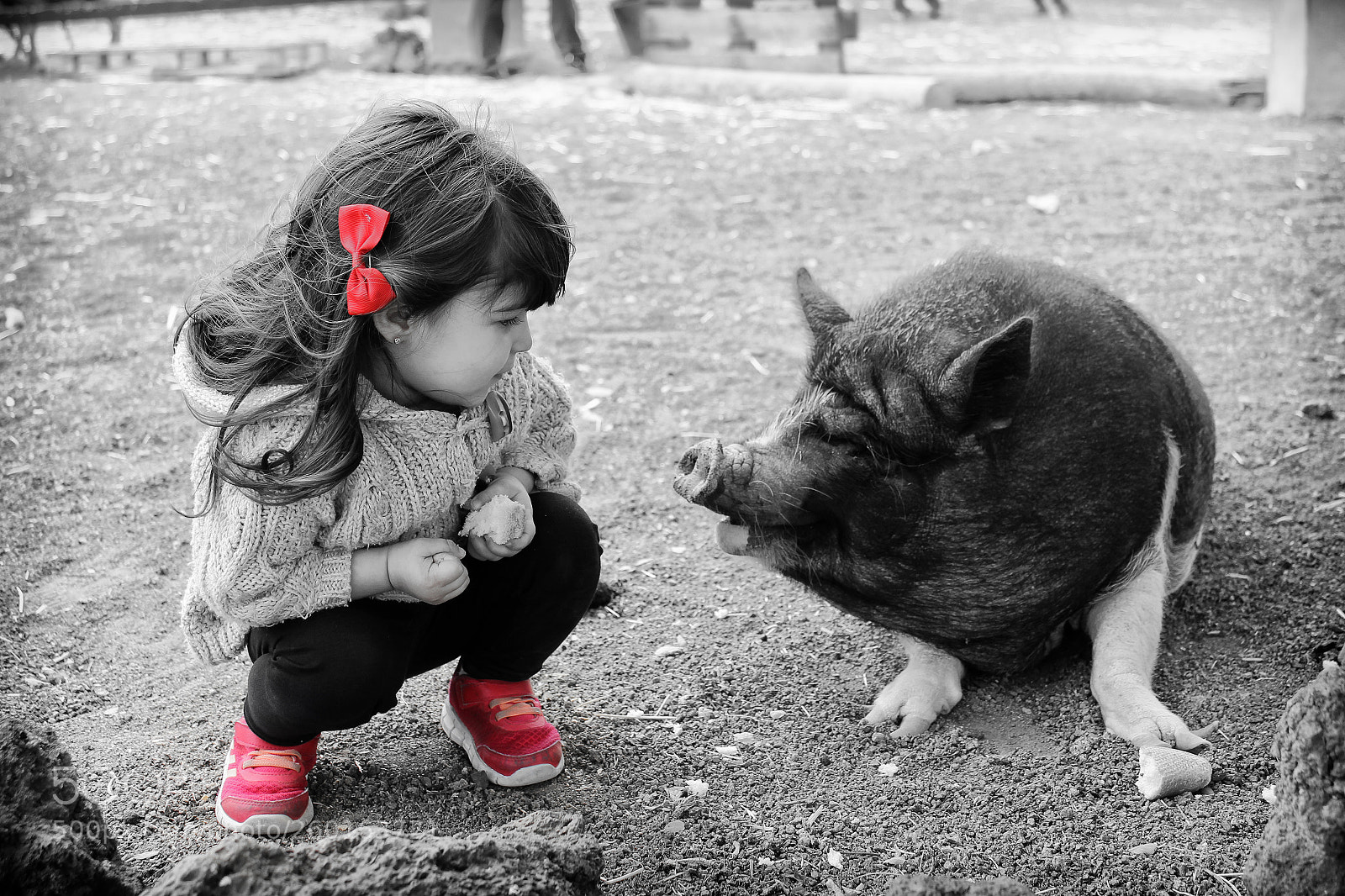 Canon EOS 600D (Rebel EOS T3i / EOS Kiss X5) sample photo. Amelié y porky photography